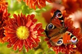 Automne 2