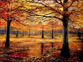 Automne 3