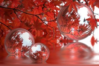 Automne 4