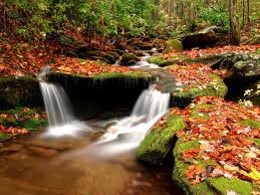 Automne 5